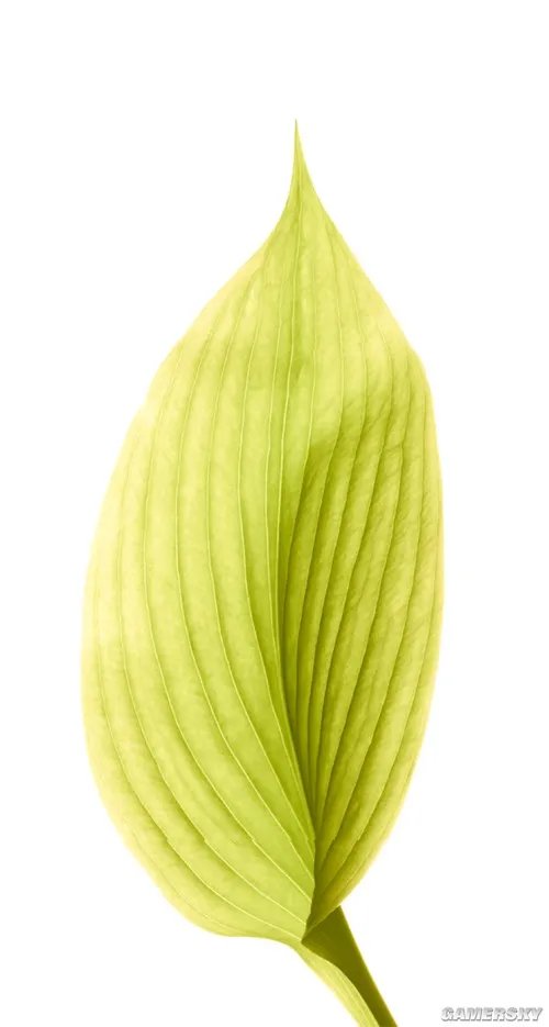 真的很不错!苹果iOS 8原生壁纸下载