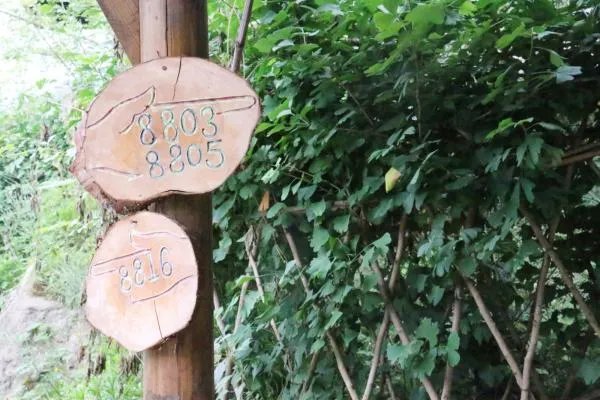 成都周边住宿有推荐吗？