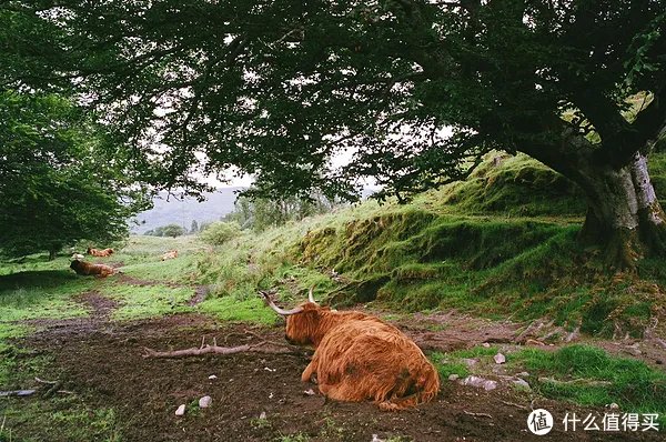 Contax G1 胶片相机:记录旅途的点点滴滴