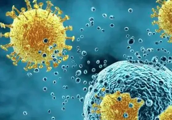 31省份新增本土12151