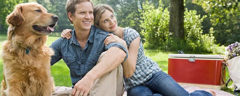 猎犬的品种有哪些 猎犬有哪些品种