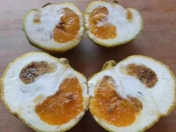 核辐射有多可怕?日本辐射后的蔬菜水果长什么样?