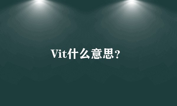 Vit什么意思？