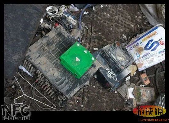 百年洪水来袭 澳洲玩家藏品惨遭洪水蹂躏(图)