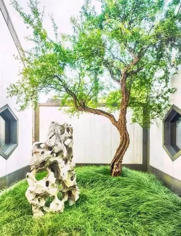 庭院里的这一方石头，历经千年，大有讲究