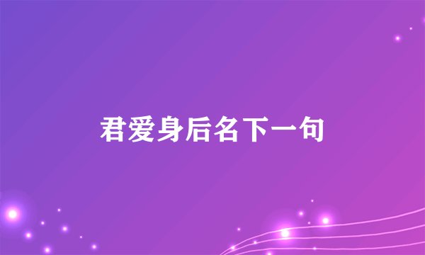 君爱身后名下一句