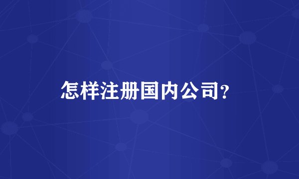 怎样注册国内公司？
