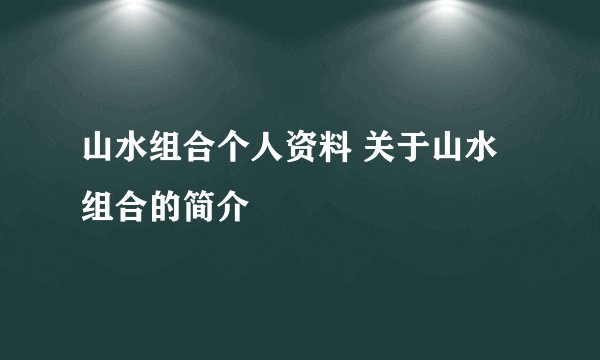 山水组合个人资料 关于山水组合的简介