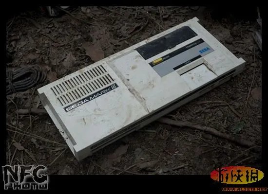 百年洪水来袭 澳洲玩家藏品惨遭洪水蹂躏(图)