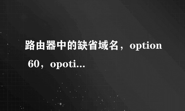 路由器中的缺省域名，option 60，opotion 138分别是什么意思？干嘛用的？