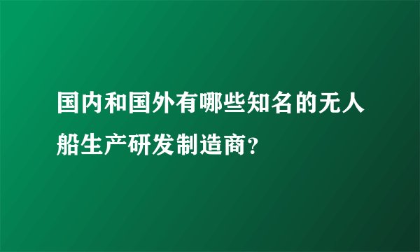 国内和国外有哪些知名的无人船生产研发制造商？