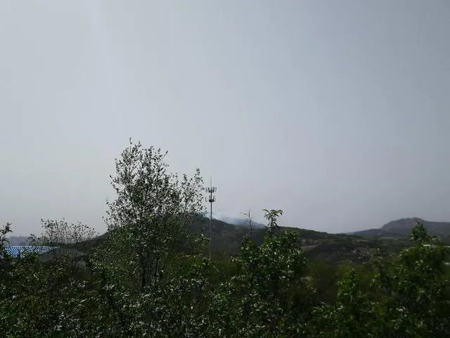 小珠山大火会影响动物园吗?经过一晚上的灭火什么进展了?