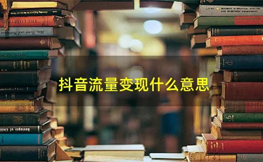 抖音流量变现什么意思