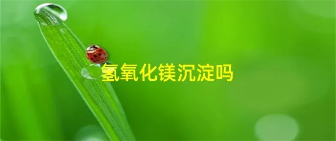 氢氧化镁沉淀吗