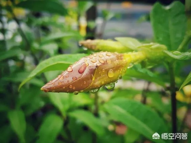 阴雨天如何拍出好照片?