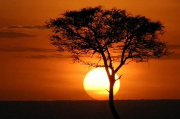 愈的拼音和组词组