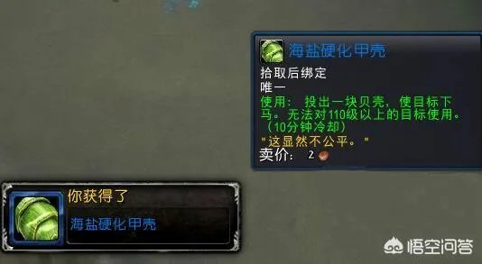 魔兽世界新达拉然有没有把人砸下坐骑的道具?