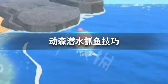 《集合啦动物森友会》潜水怎么抓东西 动森潜水抓鱼技巧
