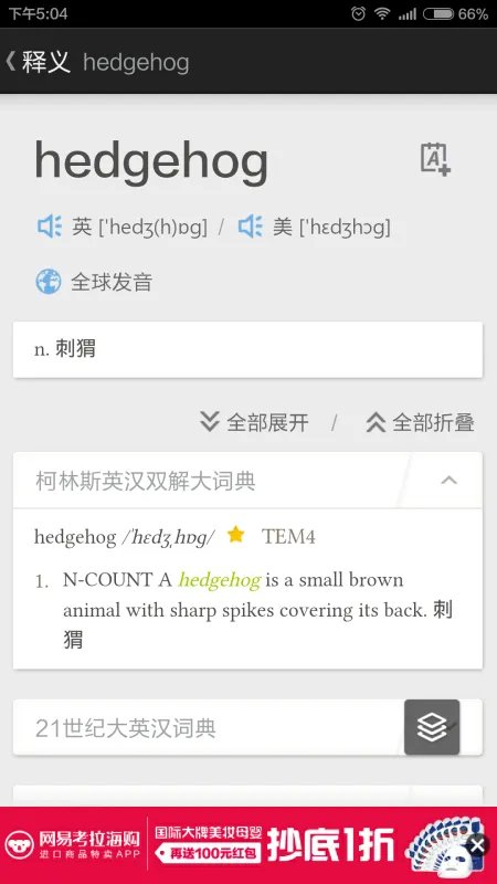 刺猬的英文是什么？