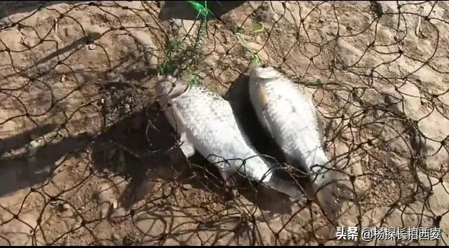 西安有哪些免费钓鱼的地方?