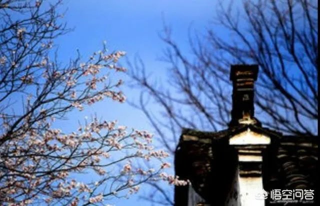 70-200镜头究竟是F2.8实用还是F4实用？