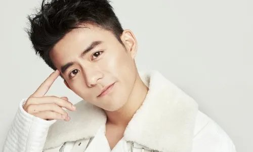 张植绿是由于性格沉稳不张扬导致火不起来的吗？