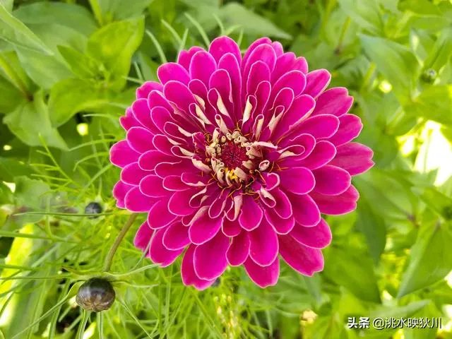 你们怎么看待疫情下的中高考?