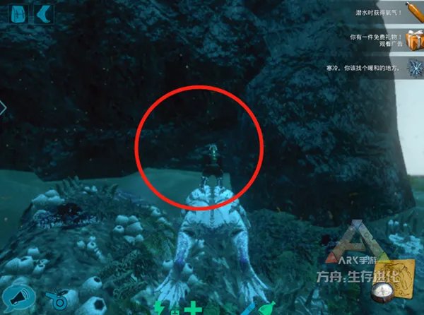 《方舟:生存进化》Tips第二期:地图盘点