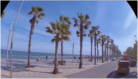 世界杯了 如何看球才算是安排得明明白白？