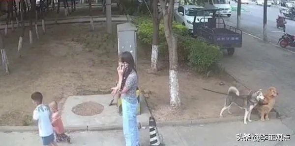 女子路边树上拴狗没让儿童靠近,老人骑车猛撞狗主人,你怎么看?