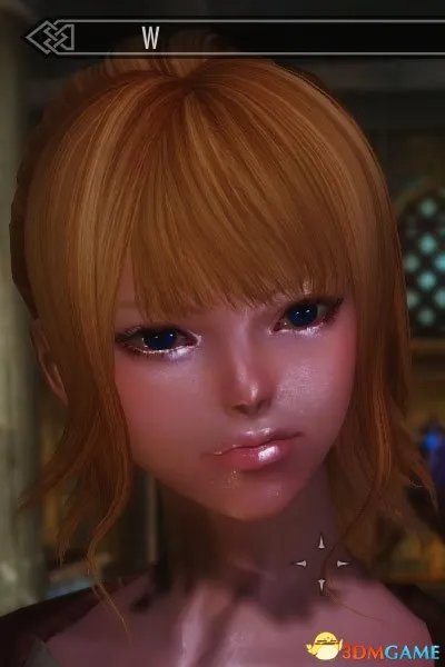 上古卷轴5 全天际美女计划 NPC美化 独孤城系列完毕