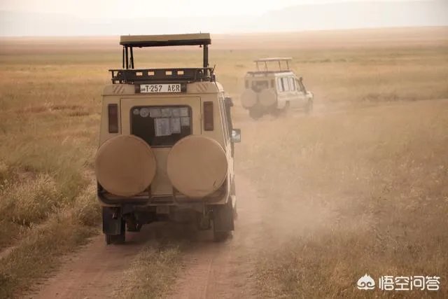 21世纪有哪些著名的旅行家？