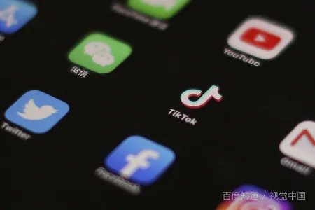 如何看待Tik Tok起诉美国政府的决定,你会支持吗?