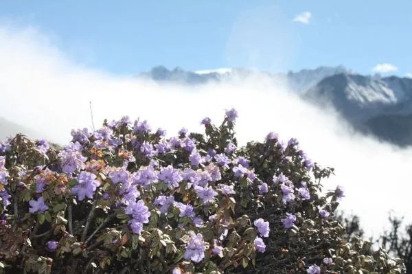 成都到木格措-新都桥-海螺沟三天怎么安排路线？具体怎么坐车/车费/时间？