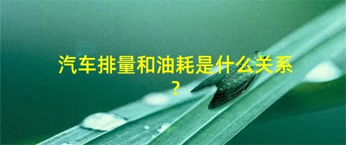 汽车排量和油耗是什么关系?