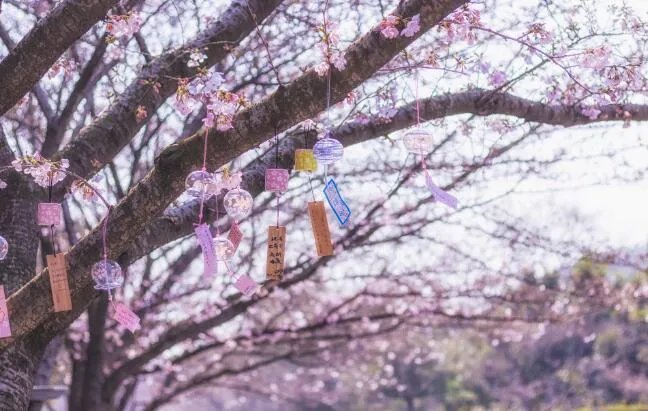 适合发朋友圈的句子