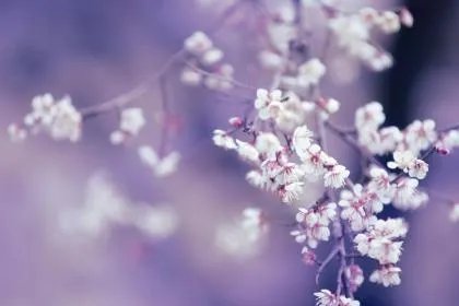 2020年2月4日立春是农历几月几日?2020年2月4日立春时间