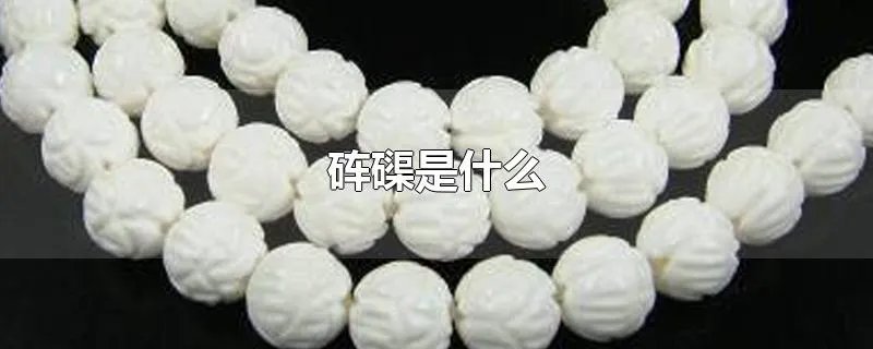 砗磲是什么