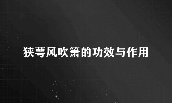 狭萼风吹箫的功效与作用
