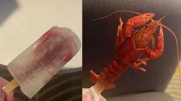 小龙虾棒冰在网络上走红，你认为味道会如何？