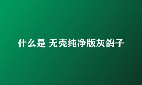 什么是 无壳纯净版灰鸽子