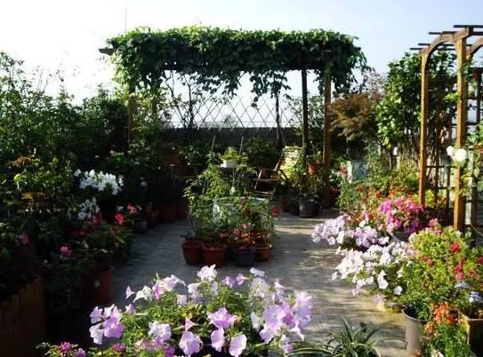 露天做个花园可以这么漂亮，昆明有钱人都这样装，羡慕