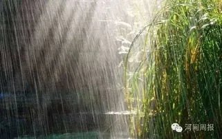 华北迎入汛最强降雨，会不会对当地的收成造成影响呢？