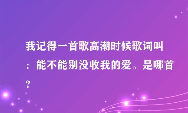 我记得一首歌高潮时候歌词叫：能不能别没收我的爱。是哪首？