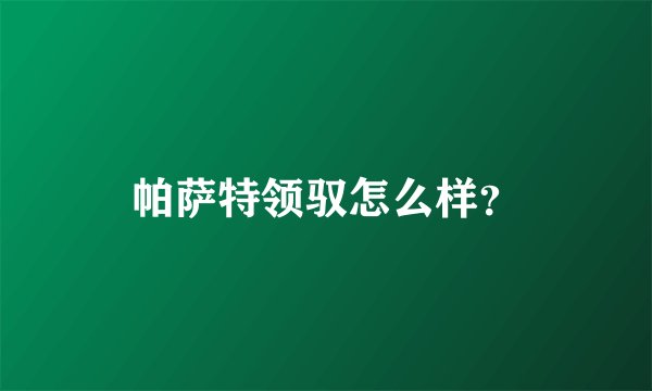 帕萨特领驭怎么样？