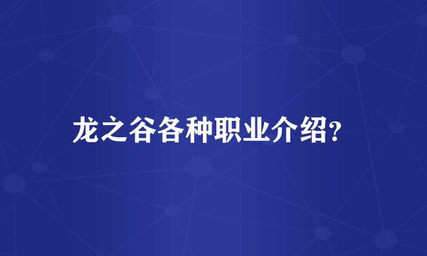 龙之谷各种职业介绍？