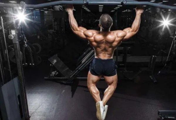 引体向上宽握，中握，窄握，各锻炼背部哪些肌肉啊！！