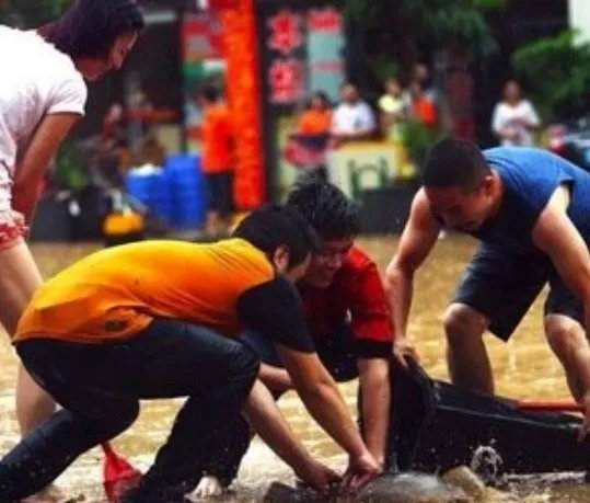 贵州暴雨路被淹，市民街头撒网捕鱼，这些鱼是从哪里的？
