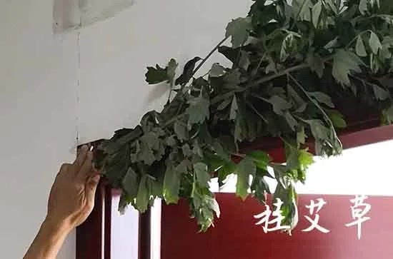 端午节的古诗四句小学