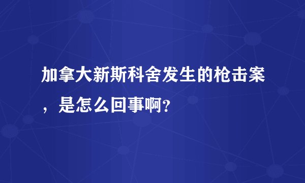 加拿大新斯科舍发生的枪击案，是怎么回事啊？